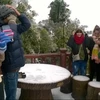 Nhiều bạn trẻ đã lên Vườn Quốc gia Ba Vì (Hà Nội) để ngắm tuyết rơi. (Nguồn: TTXVN)