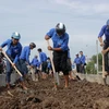 Các thanh niên tình nguyện tham gia trồng cây tại huyện Năm Căn (Cà Mau). (Ảnh: Huỳnh Thế Anh/TTXVN)
