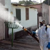 Nhân viên y tế Brazil phun thuốc khử trùng nhằm ngăn chặn sự lây lan của virus Zika. (Nguồn: AFP/TTXVN)