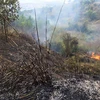 Đồng Nai: Du khách đốt lửa nướng đồ ăn gây cháy nhiều hécta rừng
