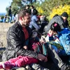 Người tị nạn Syria đến đảo Lesbos, Hy Lạp từ Dikili, miền Tây Thổ Nhĩ Kỳ. (Nguồn: AFP/TTXVN)