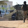 Cảnh sát đặc nhiệm Tunisia trong chiến dịch truy quét khủng bố tại thị trấn Ben Guerdane, gần biên giới Libya. (Nguồn: AFP/TTXVN)