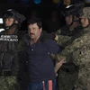 Cảnh sát Mexico áp giải đối tượng trùm ma túy El Chapo (giữa). (Nguồn: THX/TTXVN)