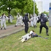 Đụng độ giữa cảnh sát và người biểu tình tại Lausitz. (Nguồn: zeit.de)