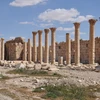 Thành cổ Palmyra tại Syria bị hư hại. (Nguồn: THX/TTXVN)