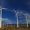Các tuabin gió tại nhà máy phong điện ở Palm Springs, bang California. (Nguồn: THX/TTXVN)