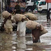 Cảnh ngập lụt sau những tận mưa lớn tại Lahore. (Nguồn: AFP/TTXVN)