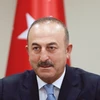 Ngoại trưởng Thổ Nhĩ Kỳ Mevlut Cavusoglu phát biểu trong cuộc họp báo ở Ankara. (Nguồn: AFP/TTXVN)