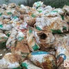 Đà Nẵng: Yêu cầu sớm kết luận việc chôn lấp hơn 30 tấn chất thải