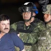 Trùm ma túy El Chapo. (Nguồn: AFP)