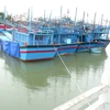 Tàu cá vào neo đậu tại khu vực cửa sông Cái, thành phố Nha Trang. (Ảnh: Nguyên Lý/TTXVN)