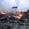 Hiện trường vụ rơi máy bay MH17 ở gần Donetsk, Ukraine. (Nguồn: EPA/TTXVN)