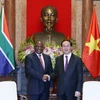 Chủ tịch nước Trần Đại Quang tiếp Phó Tổng thống Nam Phi Cyril Ramaphosa. (Ảnh: Nhan Sáng/TTXVN)