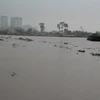 Mực nước trên sông Đồng Nai tại khu vực thành phố Biên Hòa đang lên cao ở mức báo động 2. (Ảnh: Sỹ Tuyên/TTXVN)