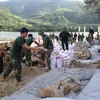 Thừa Thiên-Huế: Xử lý khẩn cấp tình trạng sạt lở bờ biển Lăng Cô