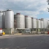 Nhà máy bia Carlsberg, nơi xảy ra vụ rò rỉ khí gas. (Nguồn: BBC)