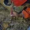 Nhà khoa học Colombia tìm thấy một kho tàng cổ sinh vật học trong một hang động tại bang miền Bắc Santander. (Nguồn: colombiareports.com)