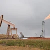 Máy bơm dầu ở Williston, Bắc Dakota, Mỹ. (Nguồn: AFP/TTXVN)