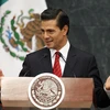 Tổng thống Mexico Enrique Pena Nieto. (Nguồn: AFP/TTXVN)