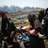 Người dân Iraq sơ tán khỏi khu vực chiến sự ở Mosul tới Qayyarah, phía Nam Mosul. (Nguồn: AFP/TTXVN)