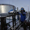 Khu vực khai thác ở mỏ dầu Novoprtovskoye thuộc tập đoàn khai thác dầu khí Gazprom của Nga. (Nguồn: AFP/TTXVN)
