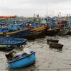 Các tàu neo đậu tránh áp thấp nhiệt đới tại cảng cá Phan Thiết, tỉnh Bình Thuận. (Ảnh: An Hiếu/TTXVN)