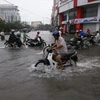 Cảnh ngập trên đường Trần Phú, thành phố Bạc Liêu sau con mưa lớn hồi tháng 11/2014. (Ảnh: Duy Khương/TTXVN)