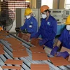 Dây chuyền sản xuất gạch ốp lát tại Công ty Viglacera Hạ Long. (Ảnh: Thế Duyệt/TTXVN)