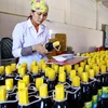 Sản xuất nước mắm đóng chai tại Công ty Cổ phần Thủy sản Cái Rồng. (Ảnh: Minh Quyết/TTXVN)