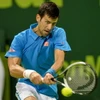 Novak Djokovic trong trận Chung kết Qatar Open 2017. (Nguồn: THX/TTXVN)