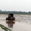 Nông dân huyện Nam Trực (Nam Định) bừa đất chuẩn bị gieo cấy vụ Đông Xuân 2016-2017. (Ảnh: Nguyễn Lành/TTXVN)