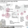 [Infographics] Điểm mặt các vụ bắt giữ cocaine lớn trong năm qua