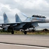Máy bay Su-35 của Nga. (Nguồn: AFP/TTXVN)