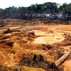 Rừng Amazon đang bị tàn phá nghiêm trọng. (Nguồn: ampost.com.br)