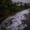 Một đoạn đầy rác thải và bọt hóa chất phủ đầy mặt sông Nhuệ, đoạn qua phường Cầu Diễn, quận Nam Từ Liêm, Hà Nội. (Ảnh: Trọng Đạt/TTXVN)