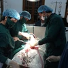 Bác sỹ, nhân viên Trung tâm Y tế quân dân y Bạch Long Vĩ tiến hành phẫu thuật một ca cấp cứu. (Ảnh: Nguyễn Văn Quân/TTXVN)