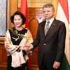 Chủ tịch Quốc hội Hungary Kovér László và Chủ tịch Quốc hội Nguyễn Thị Kim Ngân. (Ảnh: Trọng Đức/TTXVN)