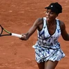 Tay vợt Venus Williams. (Nguồn: AFP)