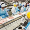 Công nhân làm việc tại dây chuyền sản xuất thịt gà trong một nhà máy ở Lapa, bang Parana, Brazil. (Nguồn: AFP/TTXVN)