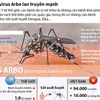 [Infographics] Bệnh do virus Arbo đang lan truyền mạnh