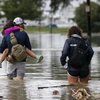 Cảnh ngập lụt do bão Cindy gây ra tại New Orleans. (Nguồn: AP)
