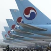 Máy bay của hãng Korean Airlines. (Nguồn: Getty images)