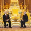 Tổng Bí thư Nguyễn Phú Trọng hội đàm với Quốc vương Campuchia Norodom Sihamoni. (Ảnh: Trí Dũng/TTXVN)