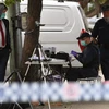 Cảnh sát Australia thu thập chứng cứ trong cuộc truy quét nghi can khủng bố tại Lakemba, ngoại ô Sydney. (Nguồn: AFP/TTXVN)