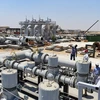 Một cơ sở khai thác dầu tại Beni Suef, Ai Cập. (Nguồn: THX/TTXVN)