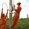 Công nhân Công ty Điện lực Kon Tum nâng cấp, cải tạo lưới điện phân phối tại huyện Sa Thầy. (Ảnh: Ngọc Hà/TTXVN)