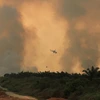 Trực thăng mang bom nước chữa cháy rừng. (Nguồn: AFP)