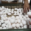 Trứng được bày bán tại một chợ ở Đài Bắc, Đài Loan, Trung Quốc. (Nguồn: EPA/TTXVN)