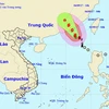 Vị trí và đường đi của bão số 8. (Nguồn: nchmf.gov.vn)