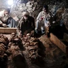 Những xác ướp được tìm thấy trong ngôi mộ cổ. (Nguồn: AP)